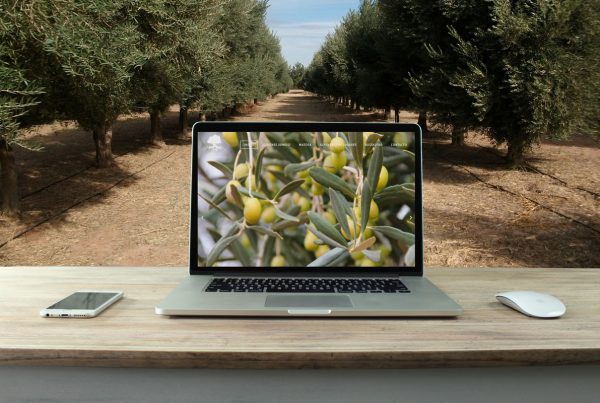 Imagen de un ordenador sobre un escritorio de madera enseñando un sitio web de agricultura, al fondo se aprecia un paisaje también